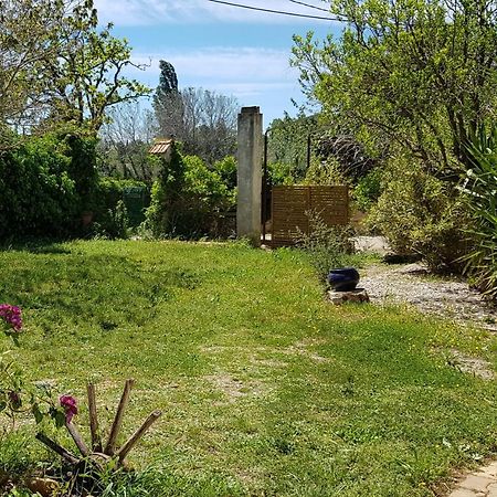 Petite Maison Refaite A Neuf Dans Mas Du 19Eme Siecle Arles Eksteriør bilde
