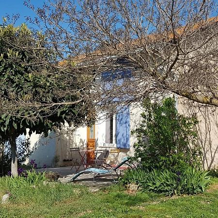 Petite Maison Refaite A Neuf Dans Mas Du 19Eme Siecle Arles Eksteriør bilde