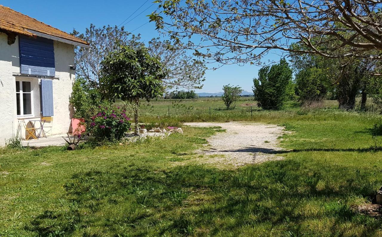 Petite Maison Refaite A Neuf Dans Mas Du 19Eme Siecle Arles Eksteriør bilde