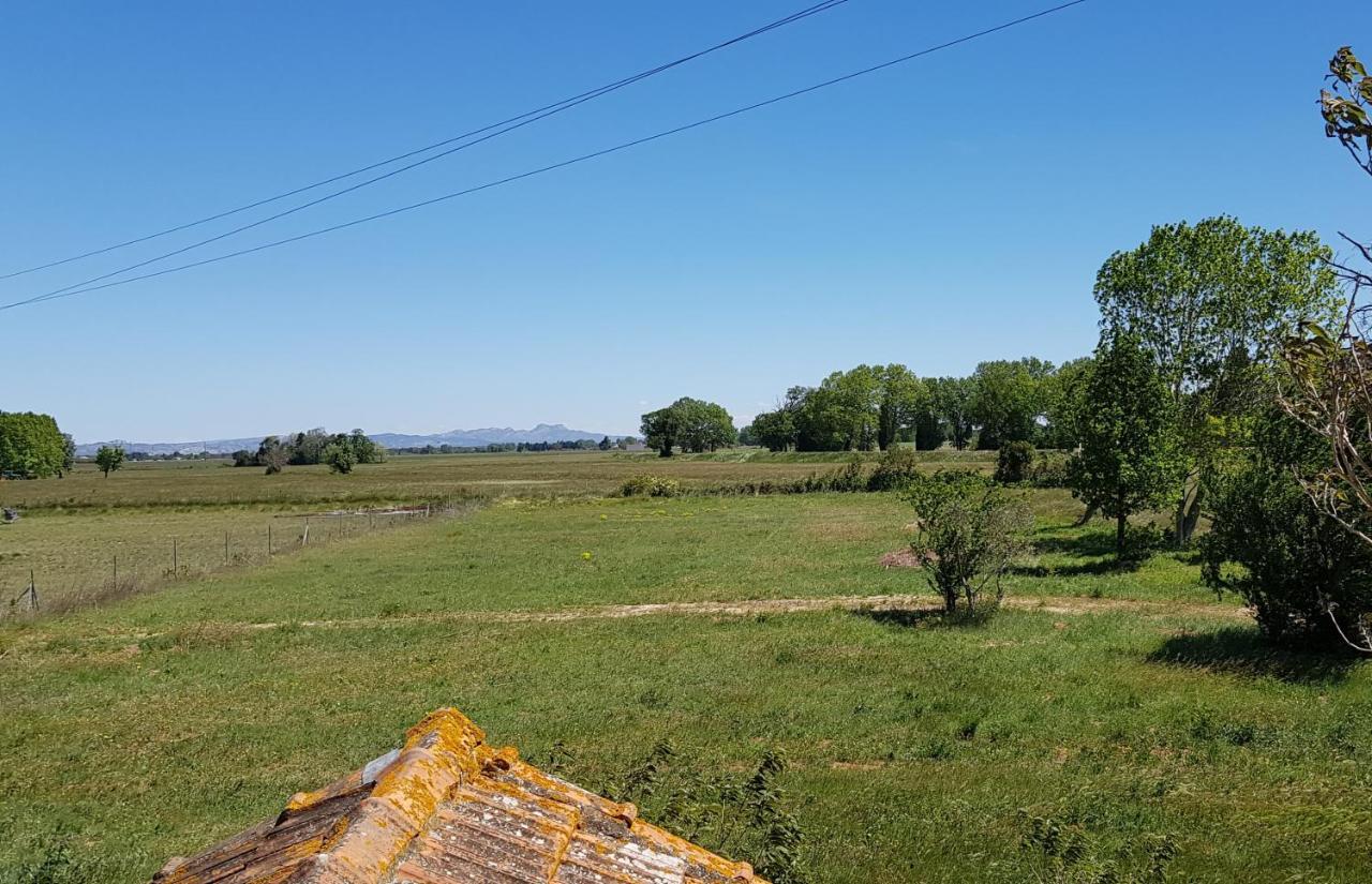 Petite Maison Refaite A Neuf Dans Mas Du 19Eme Siecle Arles Eksteriør bilde