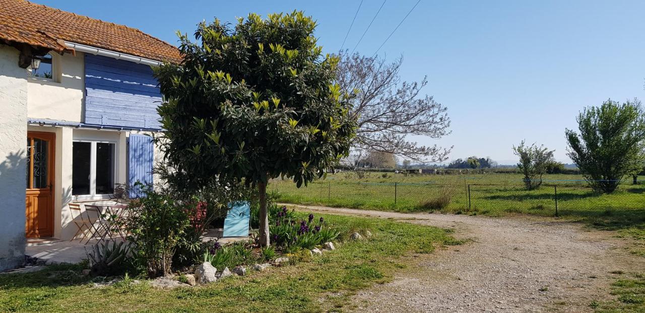 Petite Maison Refaite A Neuf Dans Mas Du 19Eme Siecle Arles Eksteriør bilde