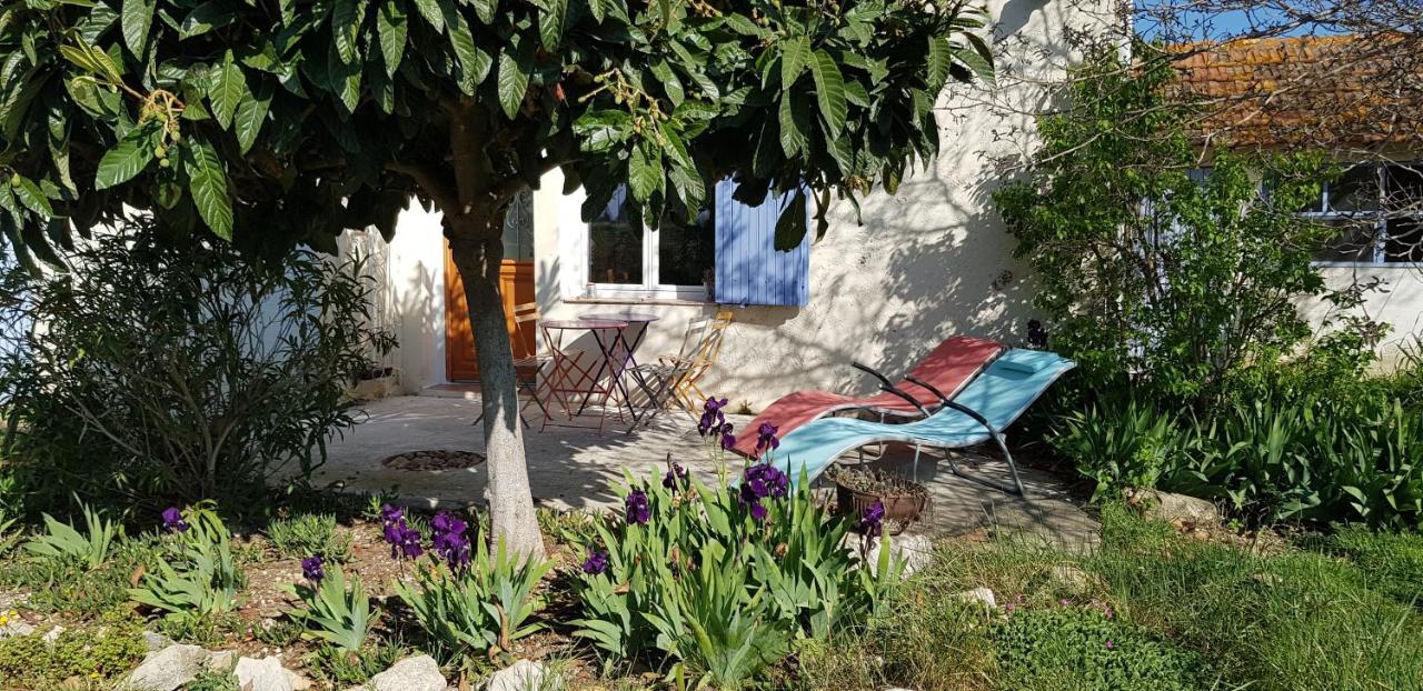 Petite Maison Refaite A Neuf Dans Mas Du 19Eme Siecle Arles Eksteriør bilde
