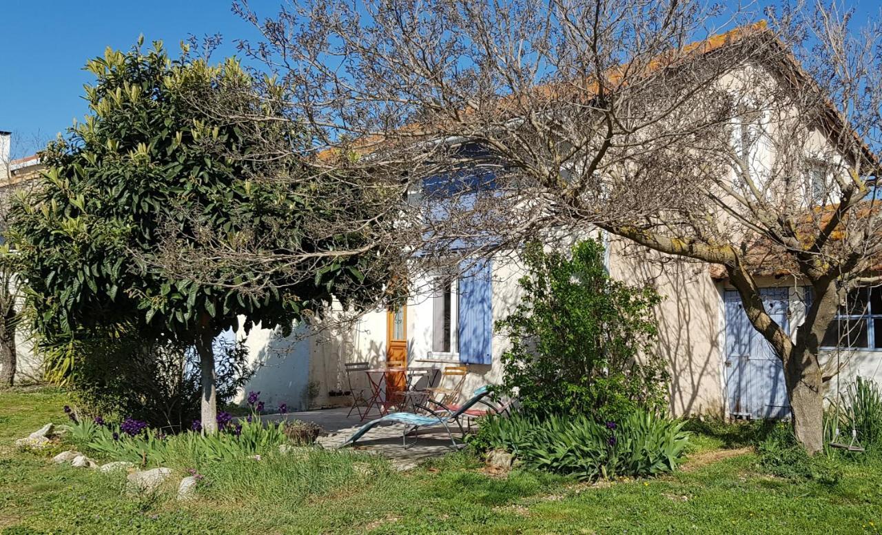 Petite Maison Refaite A Neuf Dans Mas Du 19Eme Siecle Arles Eksteriør bilde